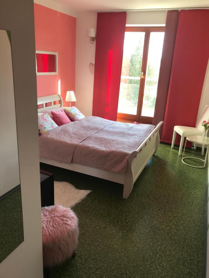 Design Hotel Romantick Třeboň المظهر الخارجي الصورة