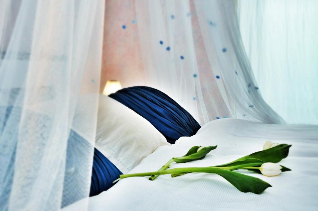 Design Hotel Romantick Třeboň المظهر الخارجي الصورة